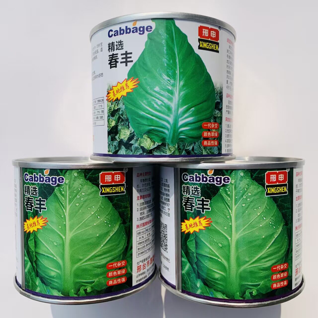基地专供邢申春丰甘蓝种子F1牛心甘蓝包菜卷心菜种籽冬性强春秋播