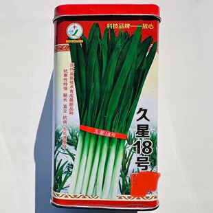 久星18号春季 多刀收割白根宽叶韭菜籽 韭菜种子特抗寒高产抗病四季