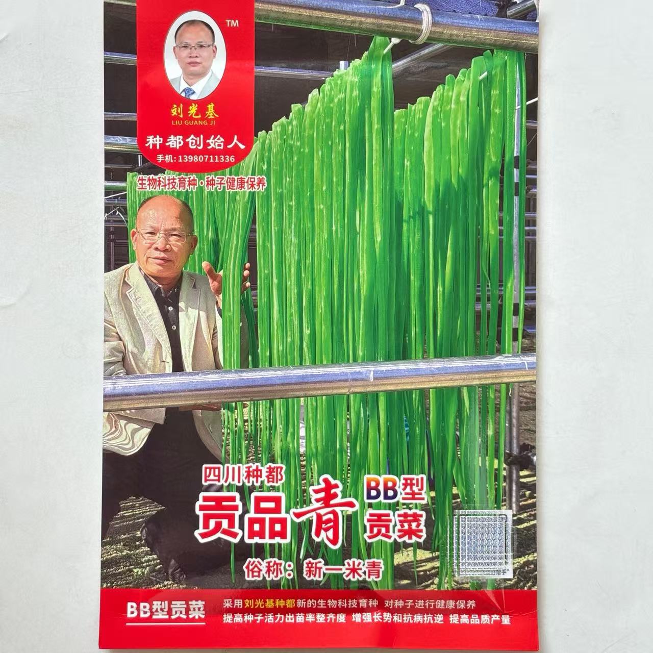 贡品青BB型贡菜种子耐湿热抗病节间稀结疤平绿皮绿肉秋播贡菜种子