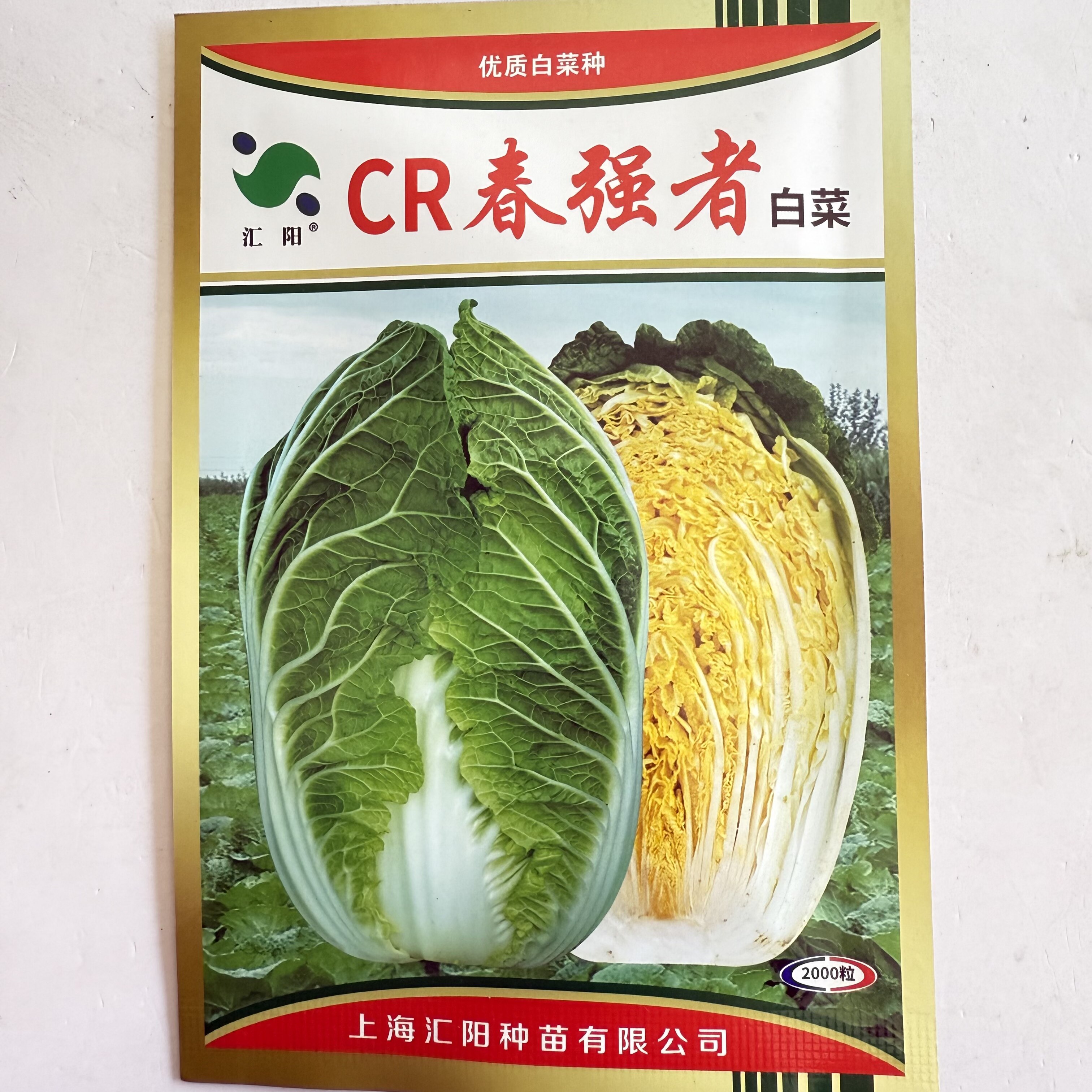 汇阳CR春强者高品质黄芯大白菜种子合抱形内叶黄心白菜种籽抗病强