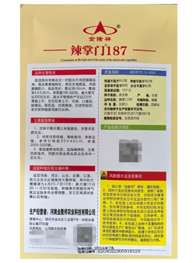 金隆祥辣掌门187一代杂交牛角型辣椒黄皮椒种子阳台专用蔬菜籽种