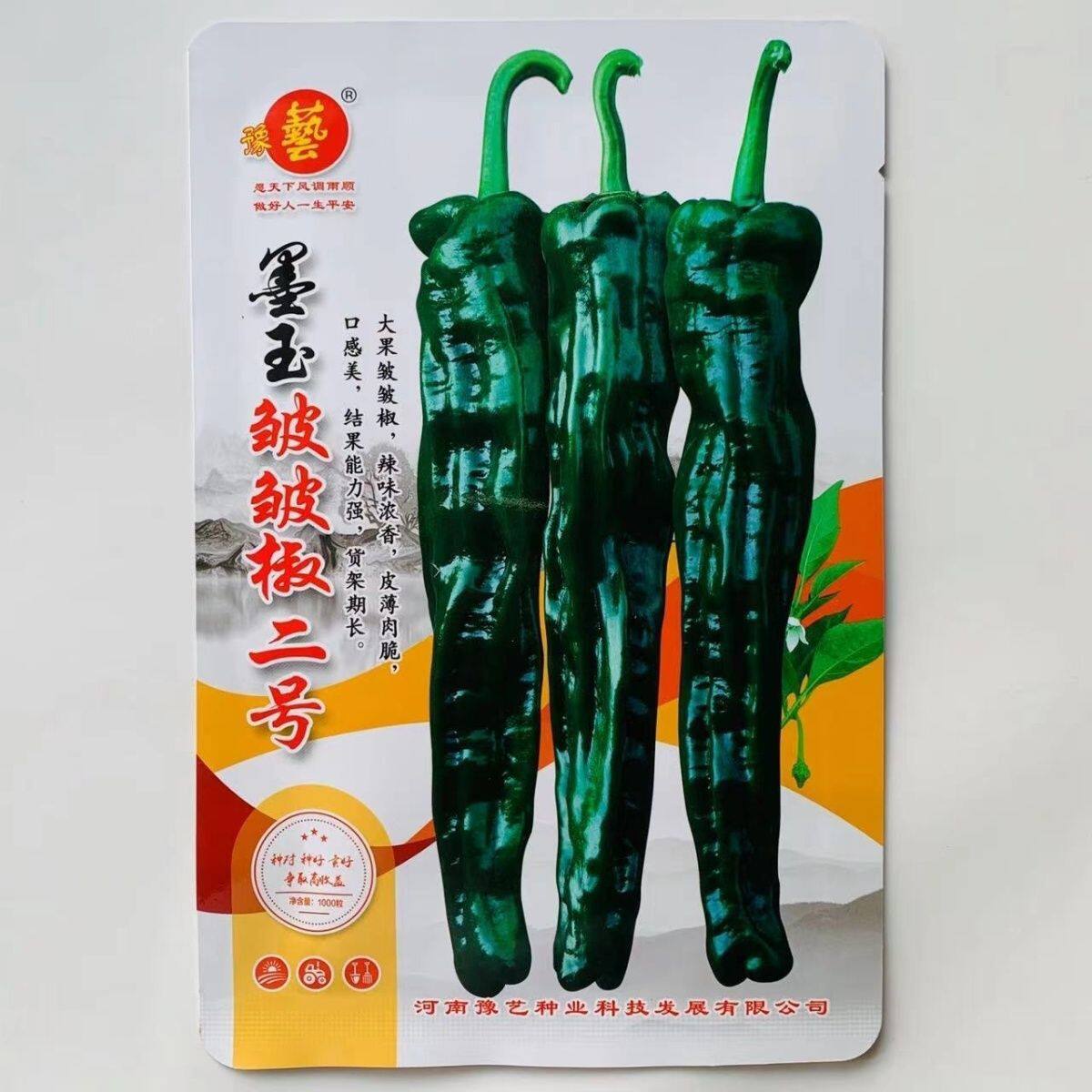 豫艺墨玉皱皱椒二号大果皱皮椒种子大黑皱皱辣种子特辣皮薄深绿色