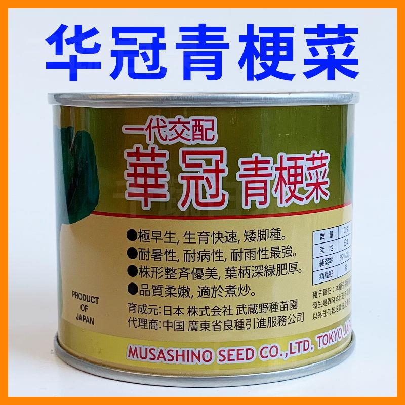 华冠青梗菜种籽矮脚高产抗病四季