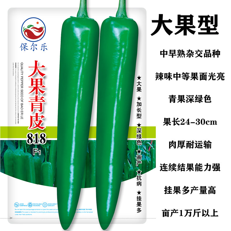 青皮大果辣椒种子高产抗病春秋播