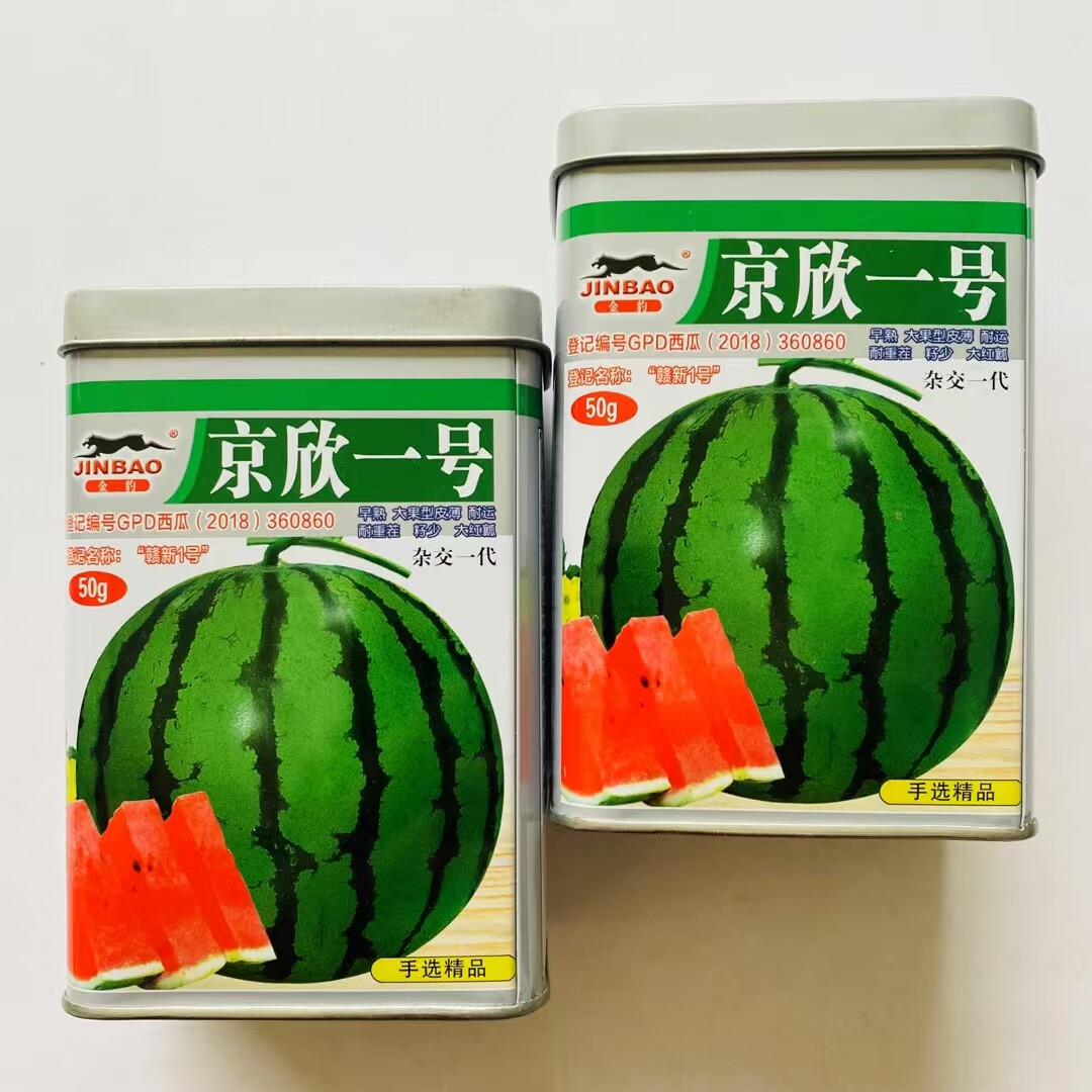 赣新京欣一号二号西瓜种籽孑西瓜种子籽少皮薄早熟耐高温杂交一代