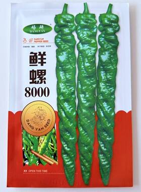 鲜螺8000螺丝椒种子高产早中熟杂交辣椒种籽农家大田基地春秋季播