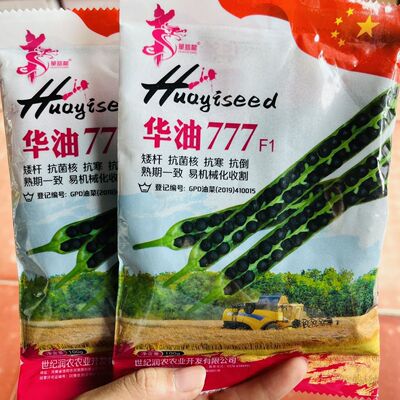 华油777油菜籽种子矮杆高产抗寒抗倒油菜种子四季秋冬季油菜籽