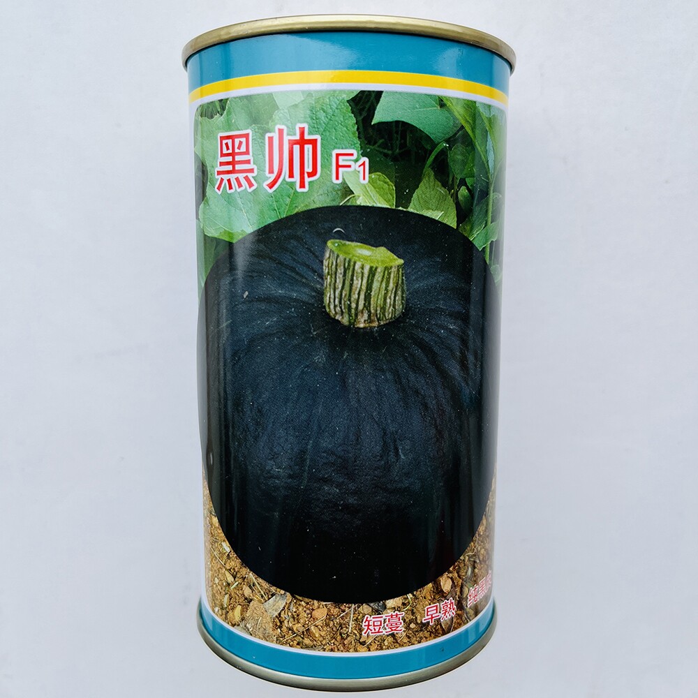 太谷德丰 黑帅 短蔓黑板栗南瓜种子粉甜细腻早熟高产商品性佳春播