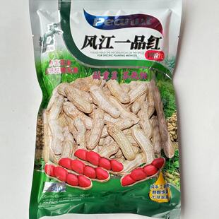 风江一品红花生种子耐茬四粒红花生种籽中熟手工剥壳罗汉果春夏播