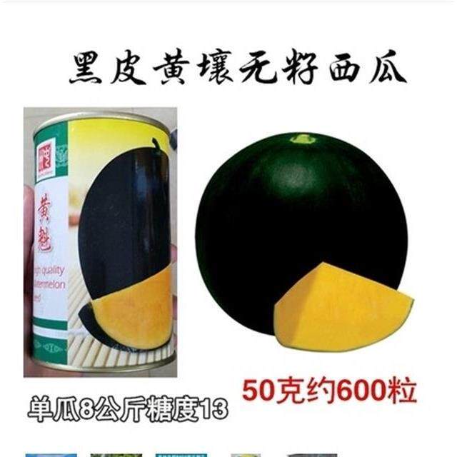 无籽黑皮黄瓤肉西瓜种子种籽四季
