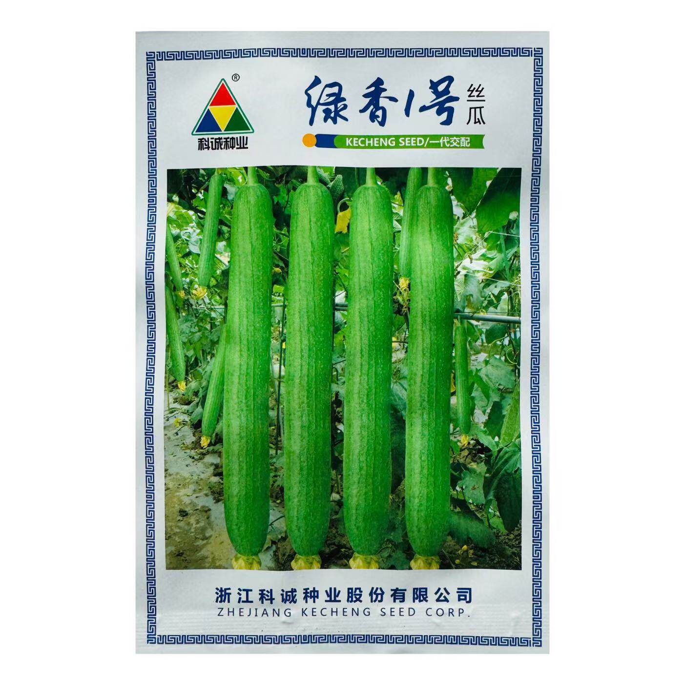 绿香1号丝瓜种子早熟雌性强香丝瓜种子高产耐热较耐寒油皮长丝瓜