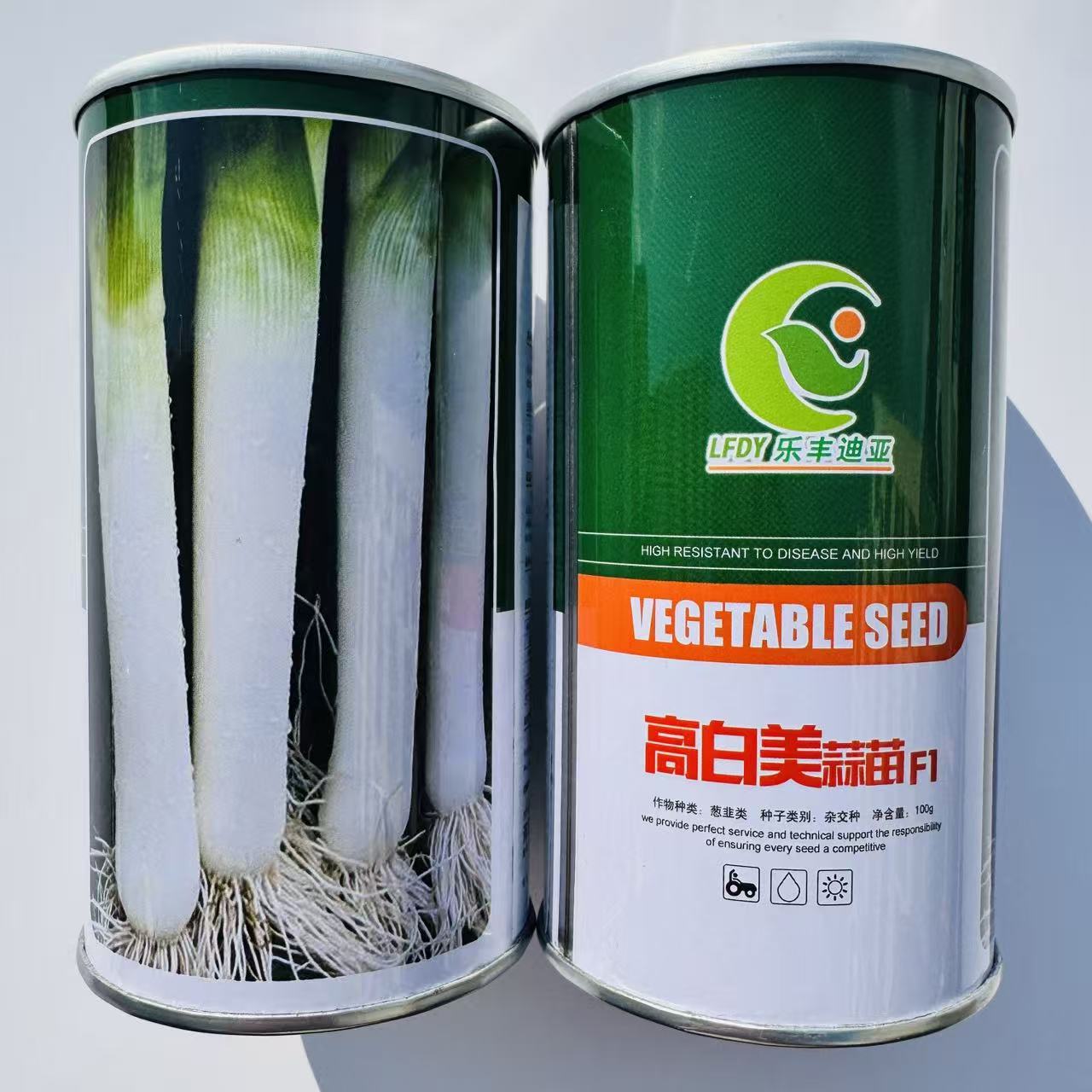 高白美蒜苗种子耐热耐寒高产抗病耐贮运宽叶韭葱种子大田种籽大蒜