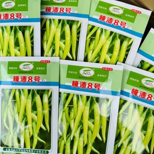 耐热高产腌渍椒8号泡椒辣椒种子黄皮长线辣椒种籽四季蔬菜种孑