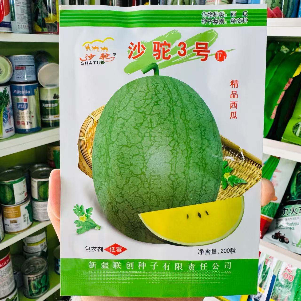 新疆沙驼3号绿皮黄瓤黄肉黄心礼品小西瓜种子极早熟爬地吊蔓四季