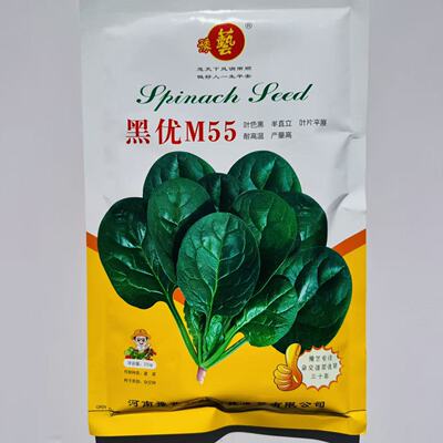 豫艺黑优55菠菜种子大叶耐热抽苔高产速生耐寒蔬菜种子种籽春夏秋