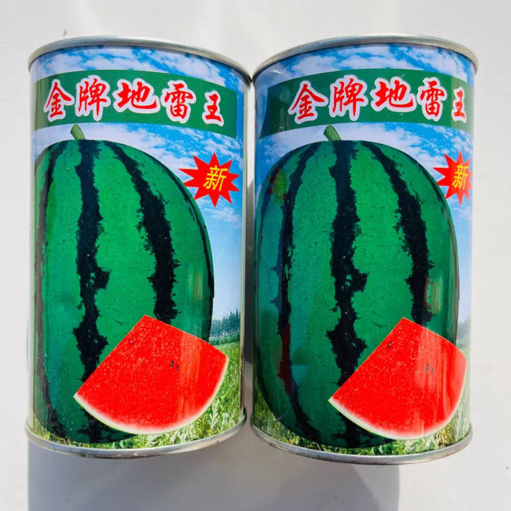金牌地雷王西瓜种子春秋季种高产