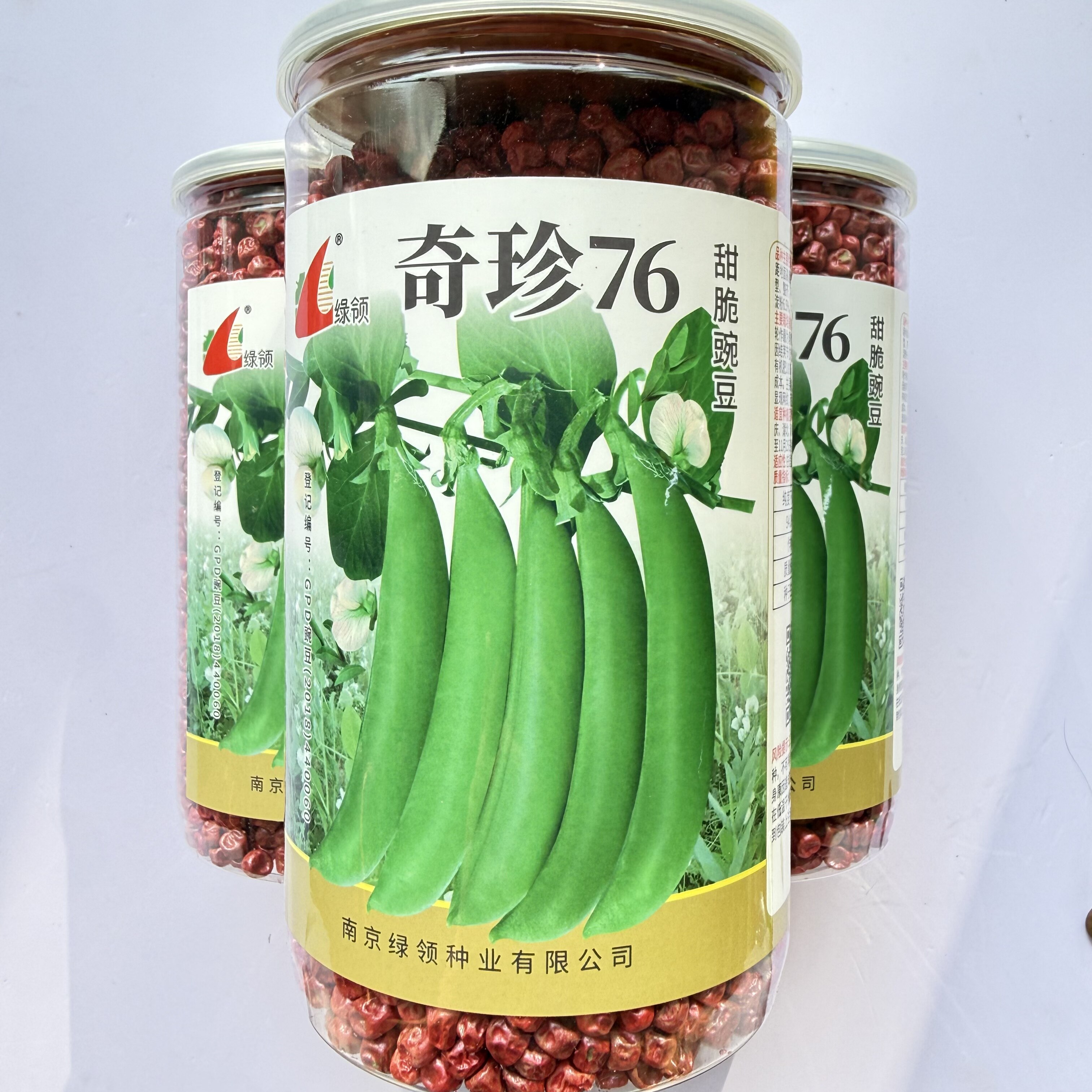 奇珍76豌豆种子早熟荚色青绿甜脆采荚容易抗病抗逆产量稳定春秋播