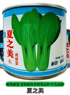 青梗菜种子夏之美青梗菜种子耐热叶色油绿高温不拔节青梗菜种子籽