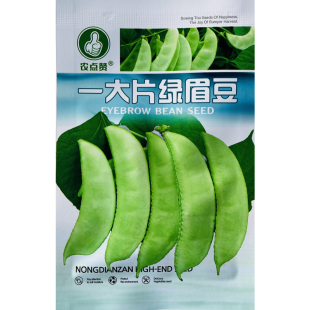 大肉绿眉豆猪耳朵扁豆种子种籽南方四季豆角梅豆角梅豆孑架豆菜豆