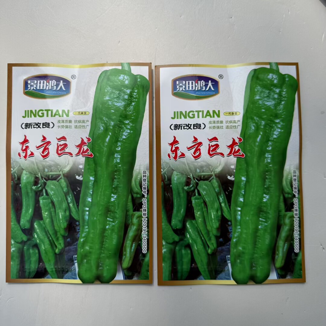 景田鸿大东方巨龙早中熟牛角椒种子特大型皮薄味辣质脆无渣口感好
