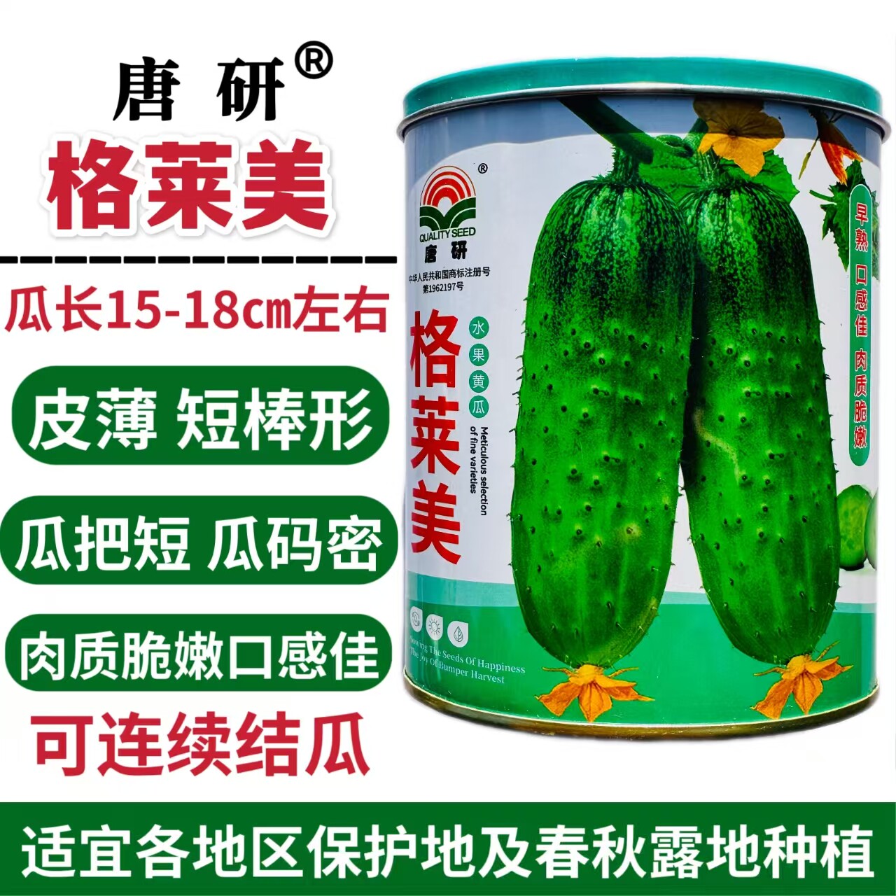 格莱美水果型黄瓜种子短棒瓜籽新品种大田小院春秋两季播种中早熟