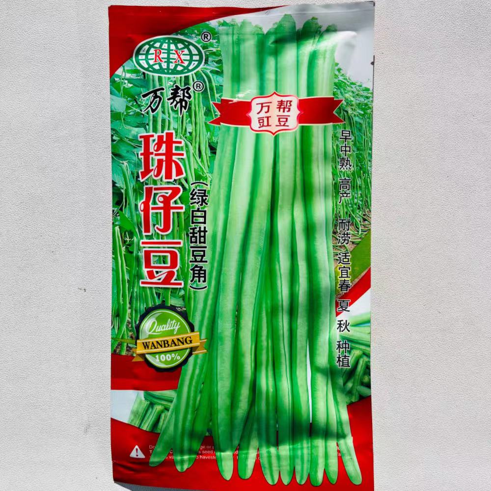 绿白甜豆角种子珠仔豆大肉珠仔豆角种籽豇豆耐热丰产春秋蔬菜种