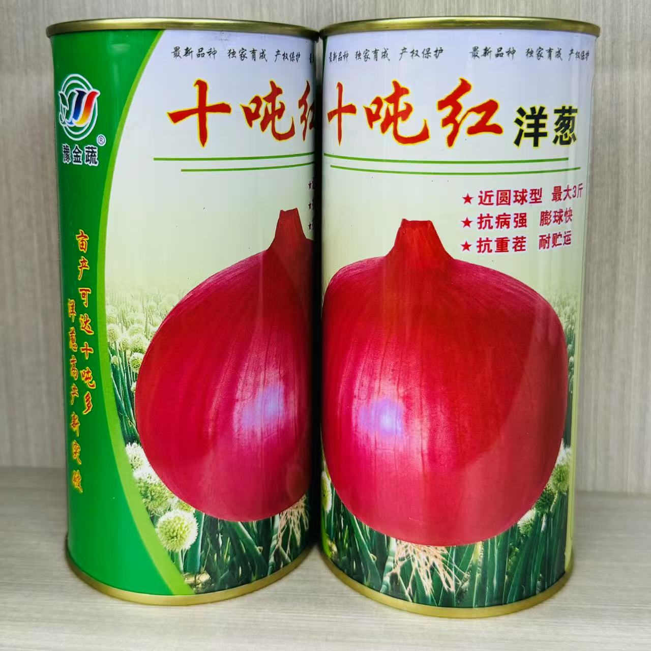 十吨红洋葱种子抗重茬抗病强耐储运耐抽苔裂球高产大果型洋葱种籽