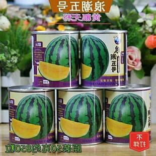 大果花皮高档黄瓤无籽西瓜种子浪潮五号礼品瓜特大甜王西瓜种子