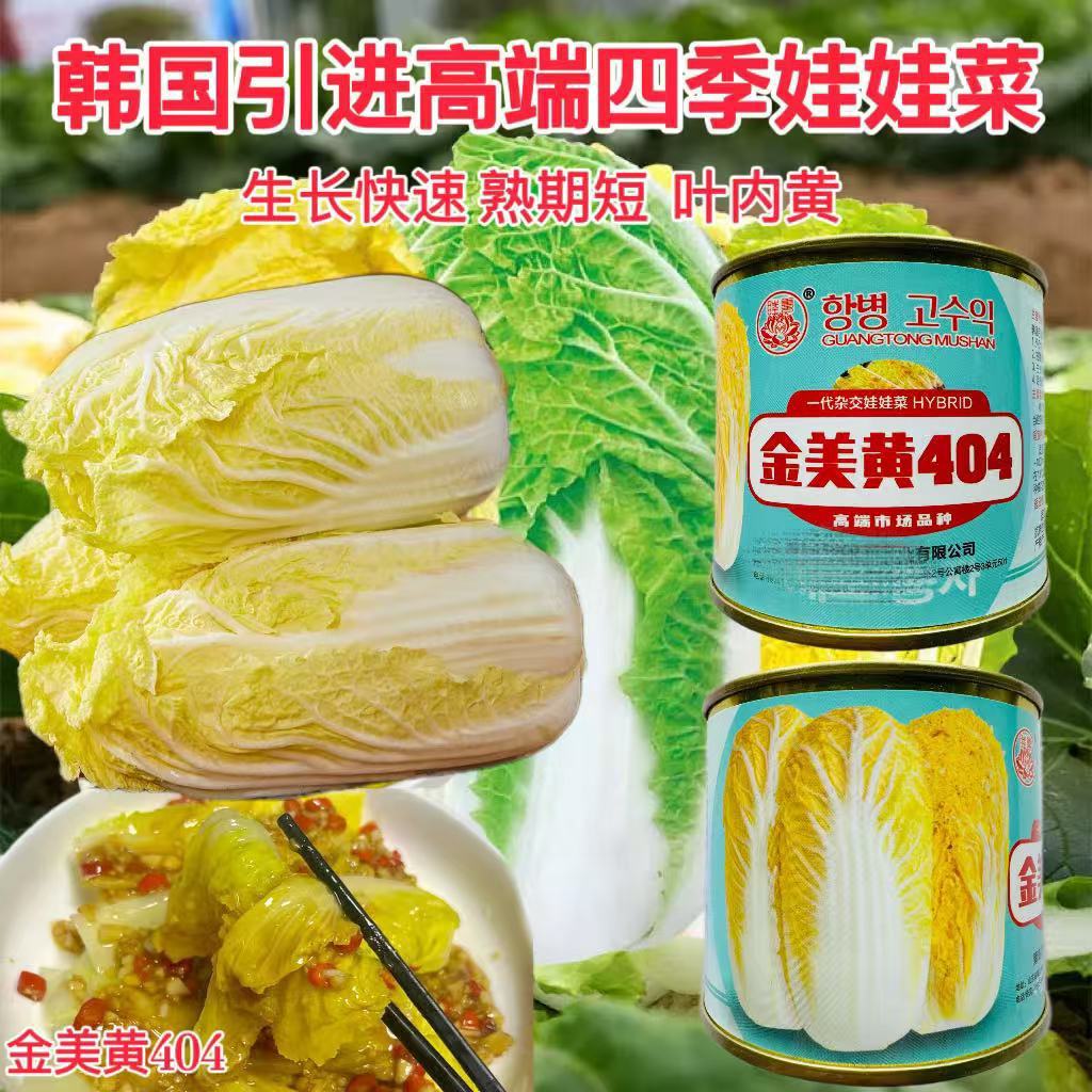 金美黄404娃娃菜种子韩国引进一代杂交新型黄心娃娃菜白菜种籽孑