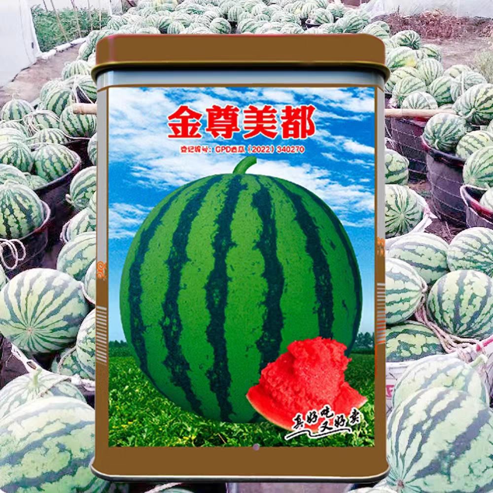 科乐金尊美都西瓜种子薄皮抗裂早熟超甜基地专用粉红壤西瓜种籽孑