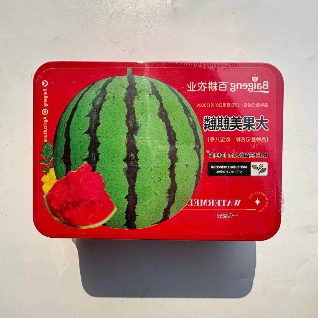 百耕大果美麒麟西瓜种子籽