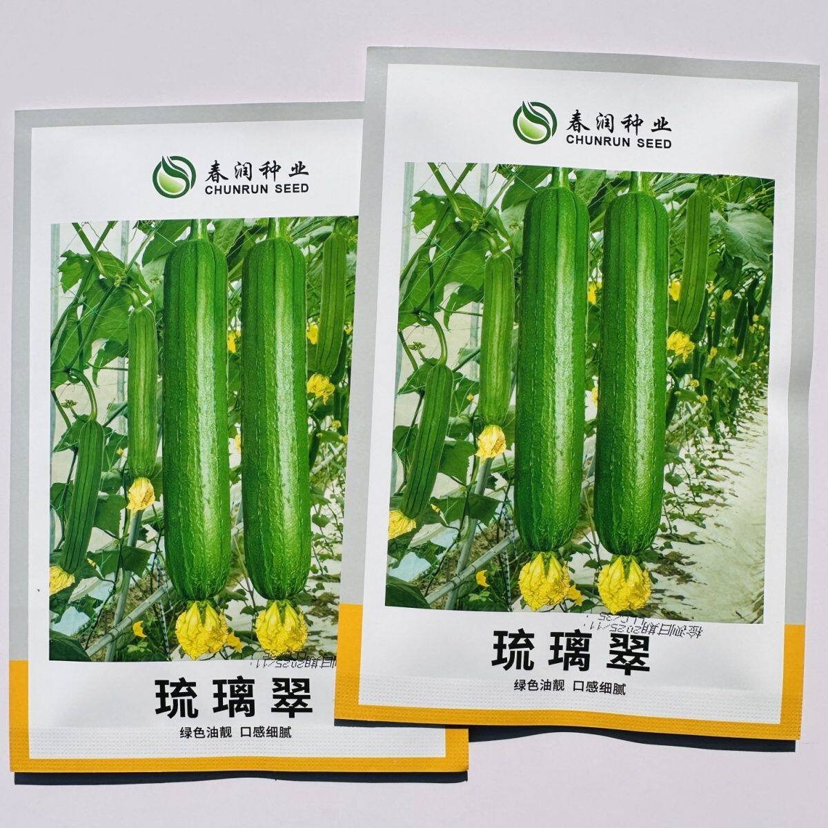 春润油亮丝瓜种子琉璃翠丝瓜油绿皮油亮肉厚味浓一代杂交水瓜种子
