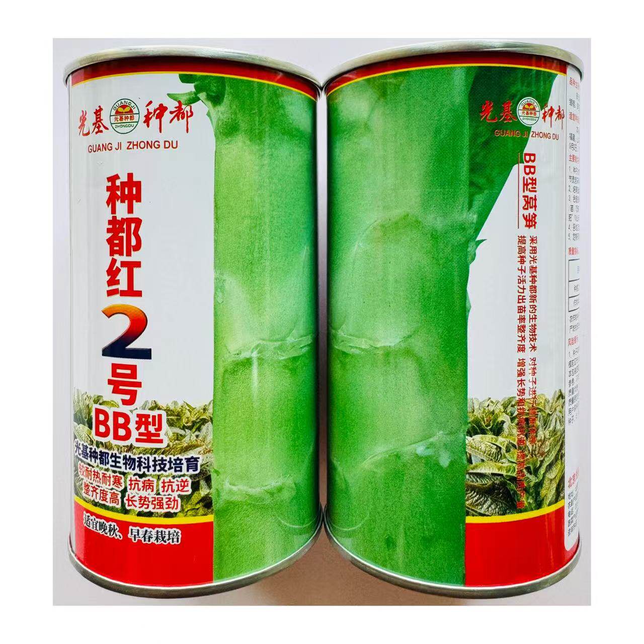 种都红2号红尖叶莴笋种子春秋季青棒红尖叶绿肉耐寒香莴苣种籽