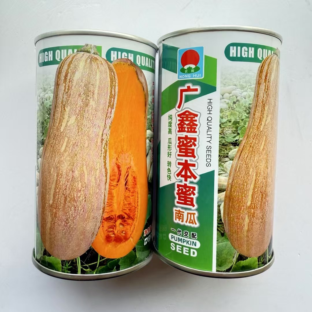 广鑫蜜本南瓜种子中熟棒槌形肉厚腔小高产甜度高粉糯南瓜种春秋播