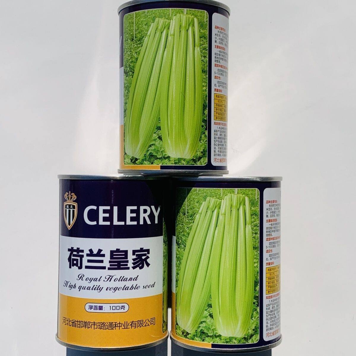 璐通芹菜种子荷兰皇家西芹种子实心芹芹菜种籽耐热耐寒四季蔬菜籽