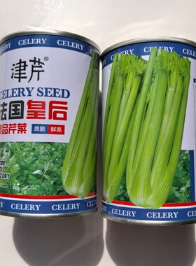 青杆绿叶实心芹菜种子四季播法国