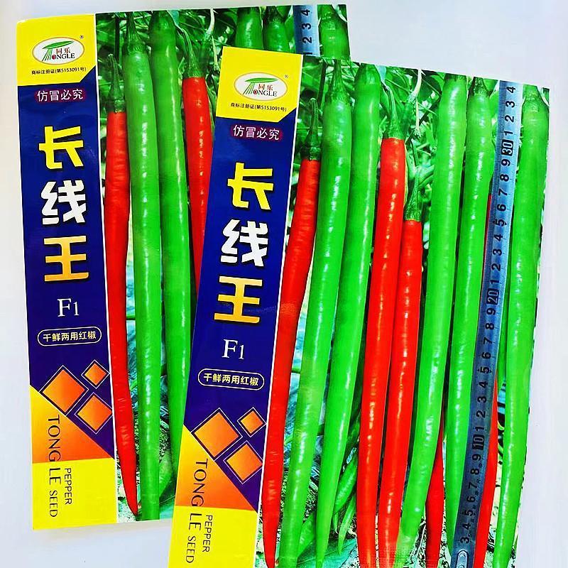 同乐长线王辣椒种子中熟高产辣味