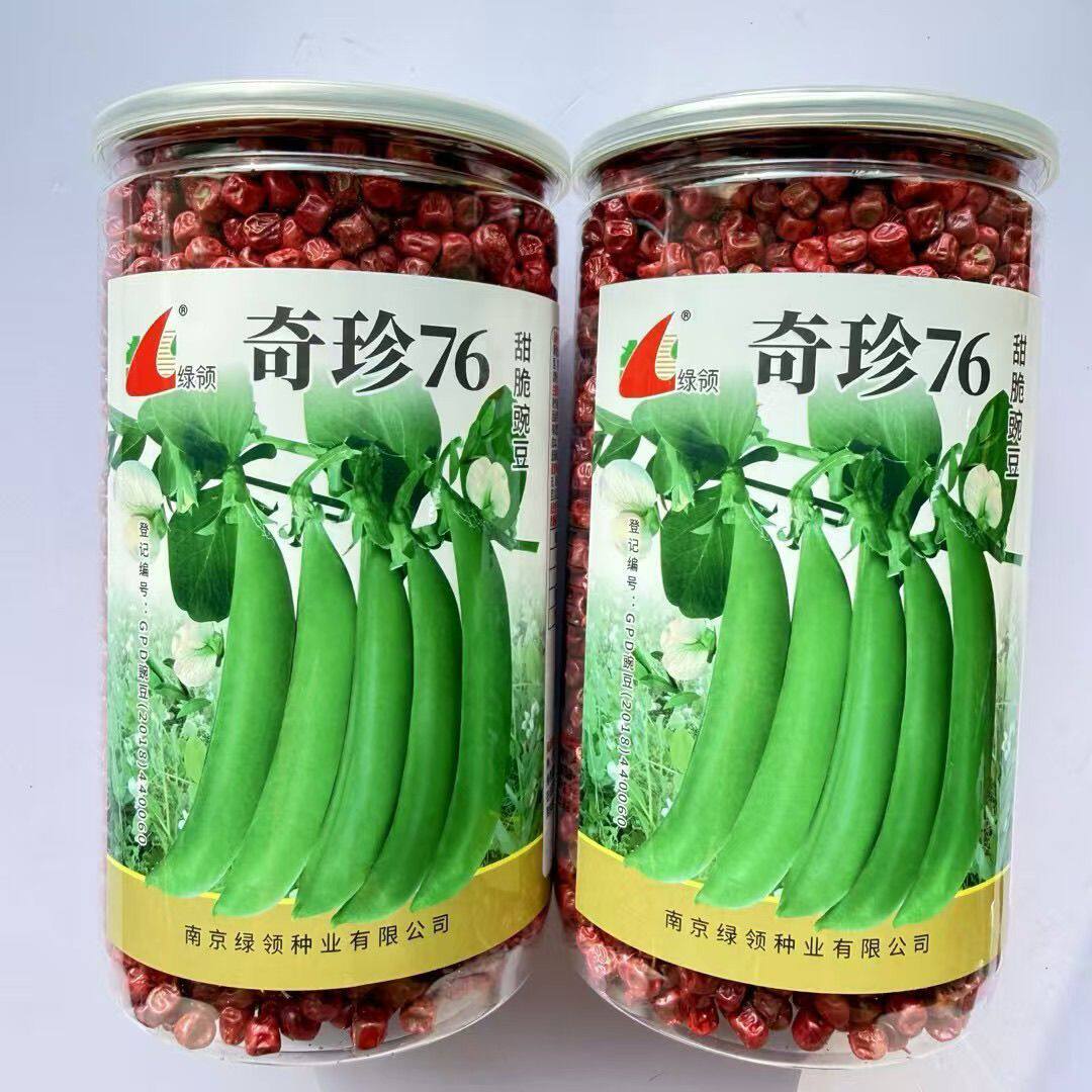 绿领奇珍76甜脆豌豆种子高产抗病秋播豌豆寒豆荷兰豆蔬菜种籽孑
