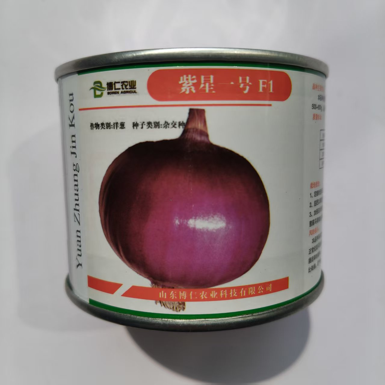 进口红皮洋葱种紫星一号特大紫红皮扁圆型洋葱种子早熟高产耐寒葱