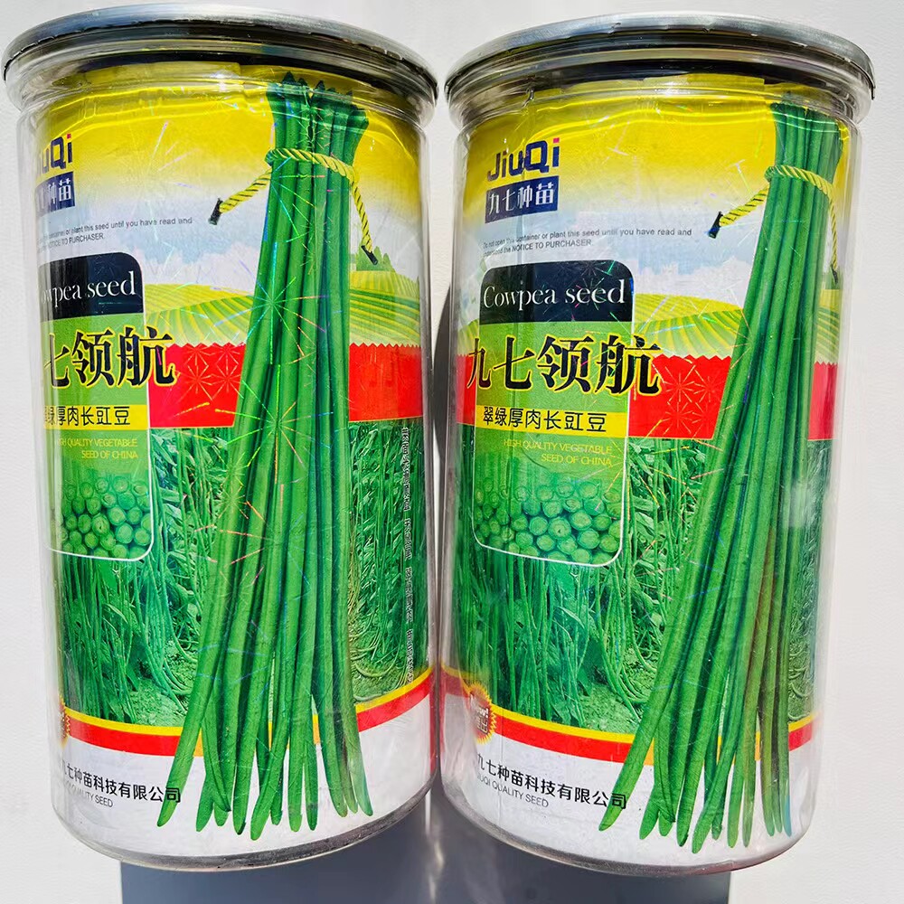 正品九七领航长豇豆种子早熟翠绿厚肉顺直长豆角种籽春秋播四季豆