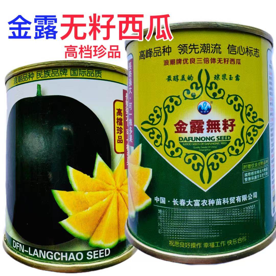 浪潮高档黑皮黄瓤无籽西瓜种子特大超甜黑皮无籽西瓜种子礼品西瓜