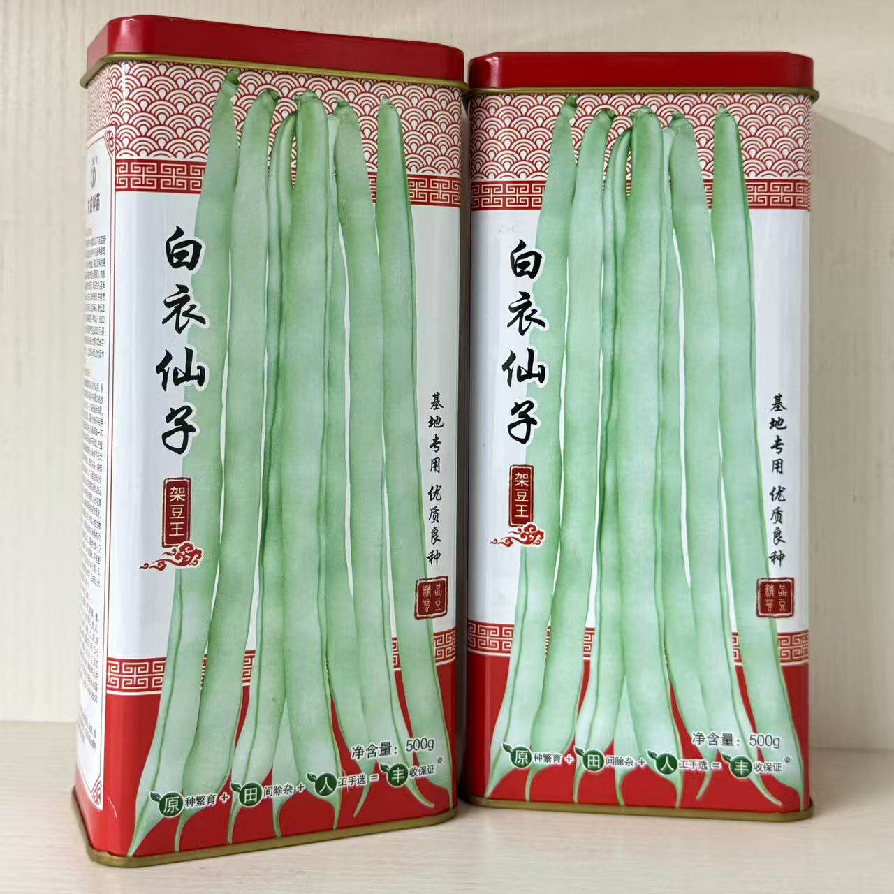 白衣仙子架豆王种子高产豆角圆棍无筋架豆四季豆条型顺直高产抗病