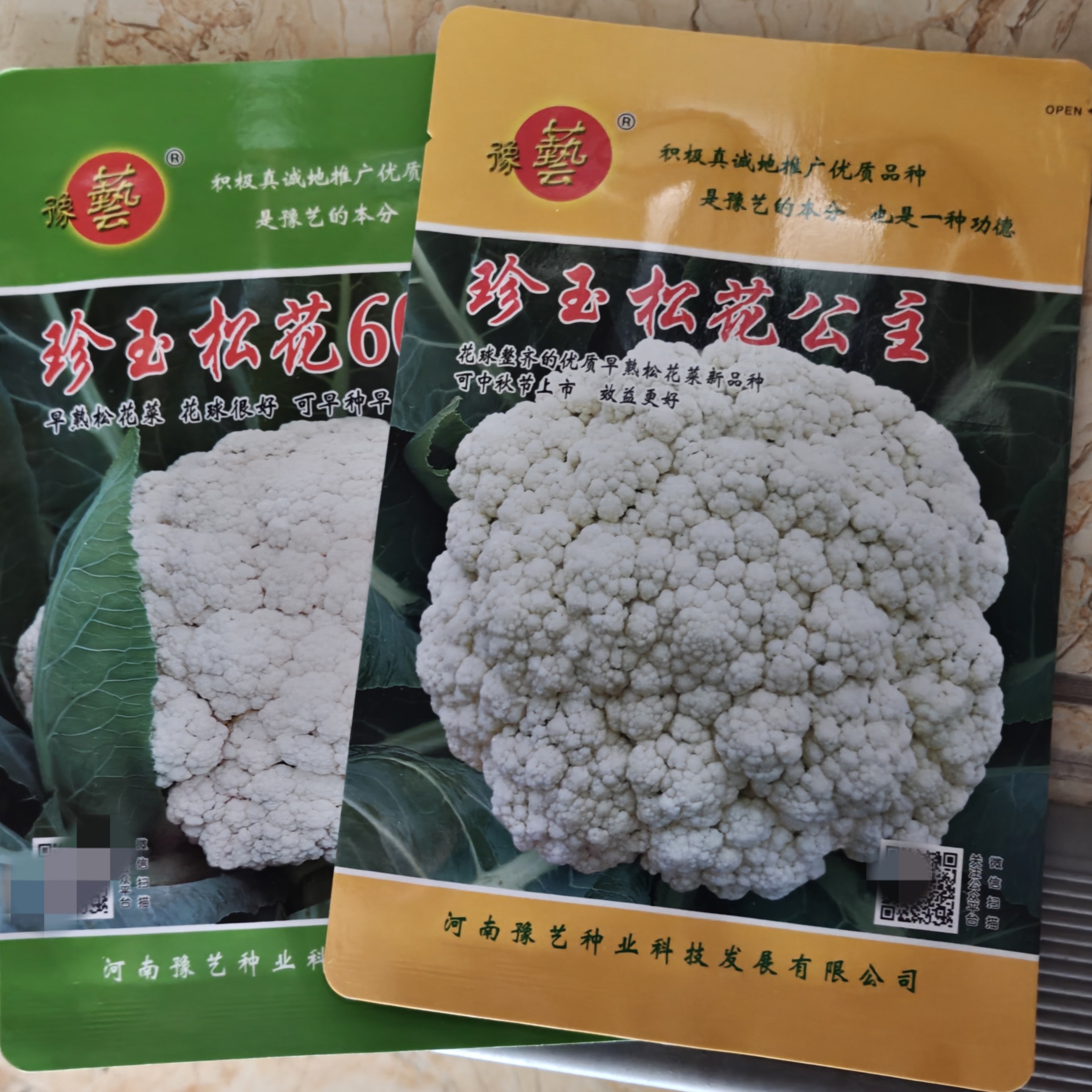 豫艺珍玉松花60/公主青梗花菜种子夏季耐热耐湿 60天收花球松大白