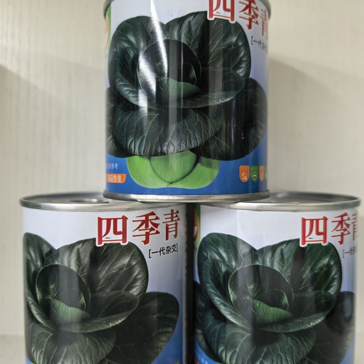 四季青矮脚束腰苏州青种子黑叶矮脚青梗菜种籽黑口感甜糯耐热性好