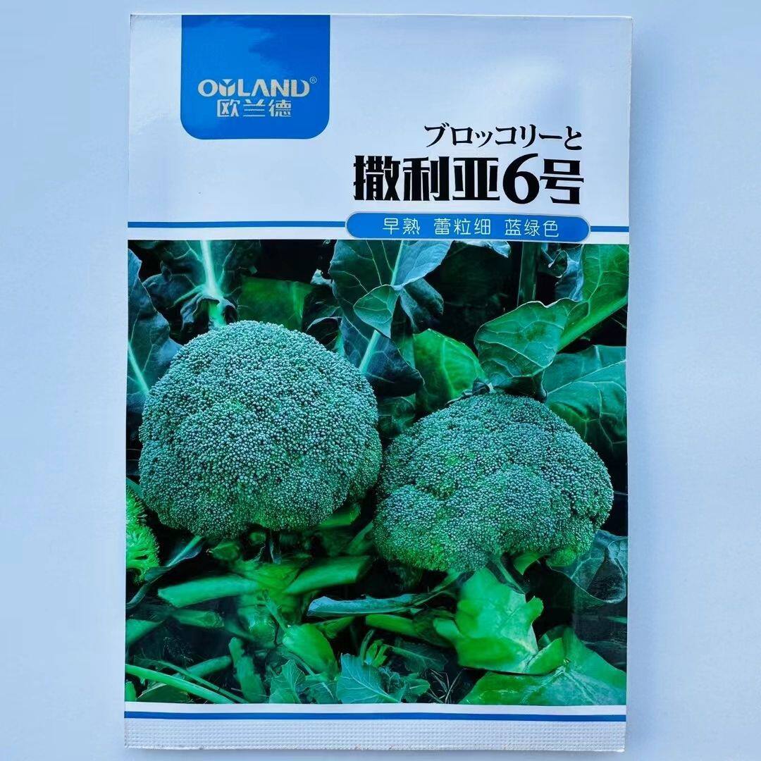 撒利亚6号西兰花种子欧兰德耐寒进口蕾粒均匀绿花菜花春秋蔬菜籽