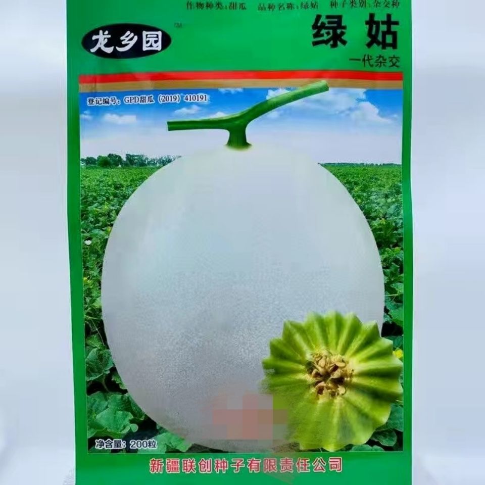 新疆联创绿姑甜瓜种子早熟丰产耐贮运白皮绿肉香瓜籽农家春秋用种