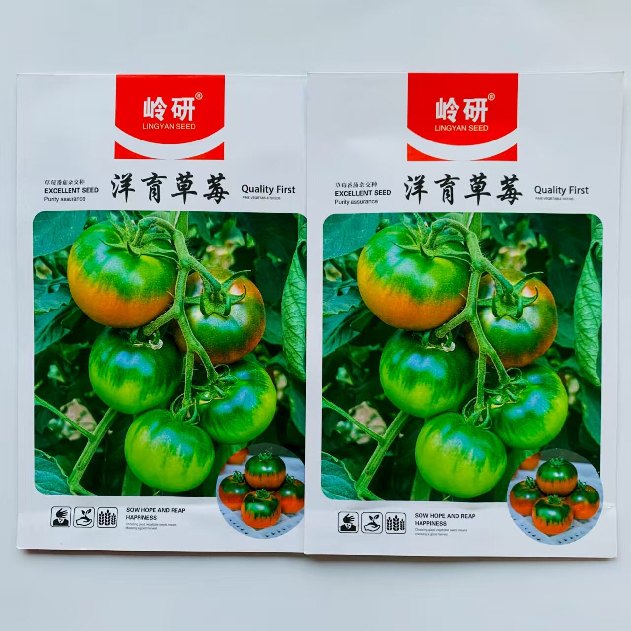 大果绿肩口感型番茄种子洋育草莓番茄种籽酸甜多汁铁皮西红柿种孑