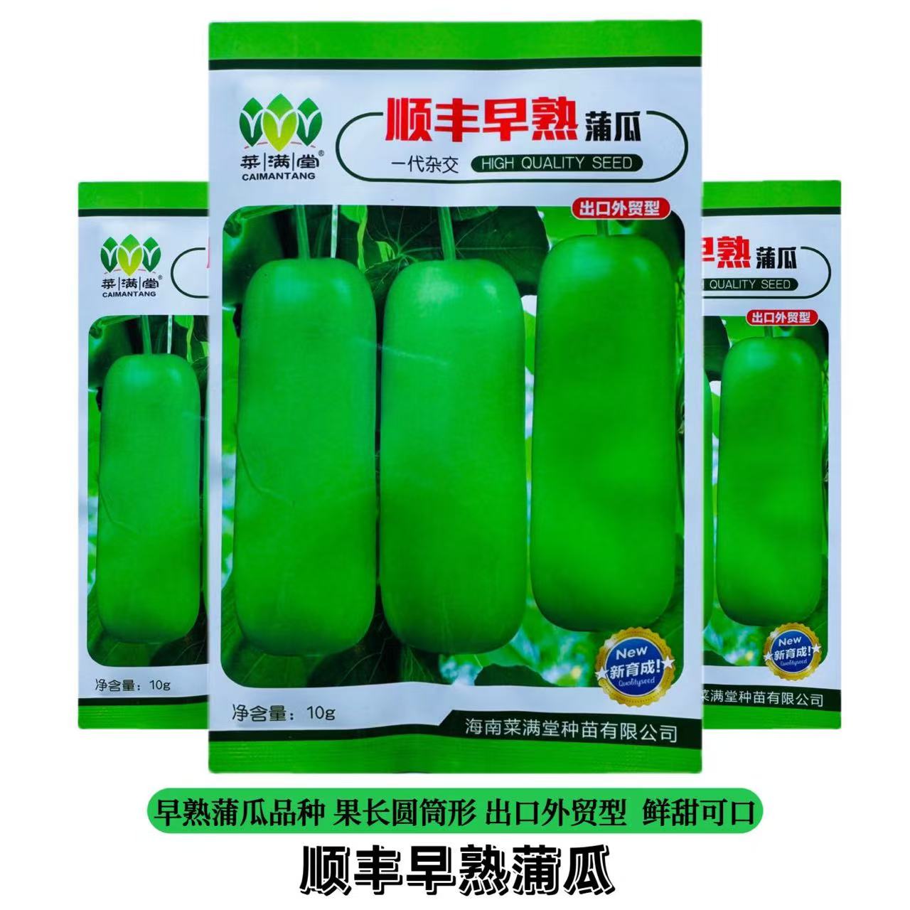 顺丰早熟短蒲瓜种籽特高产甜瓠瓜籽种绿美人蒲瓜种子春秋蔬菜种