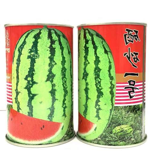 硒砂一号巨型西瓜种子沙漠