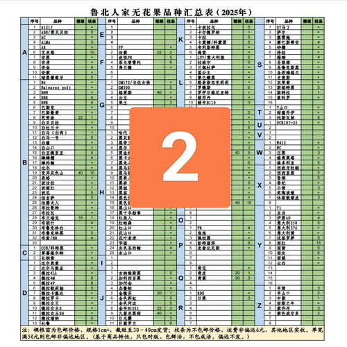 无花果枝条11月初发货不接急单
